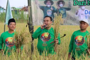 Bupati Blora H. Arief Rohman pipimpin panen raya padi organik di Kunduran